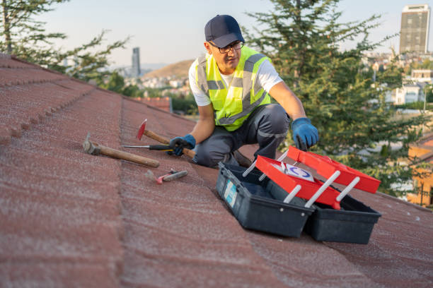 Best Hoarding Cleanup  in Manana, HI